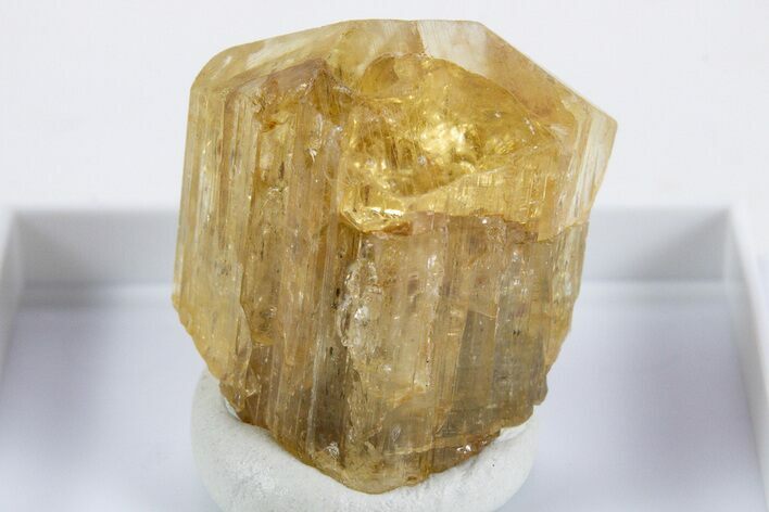 Terminated Yellow Marialite (Scapolite) Crystal - Tanzania #345753
